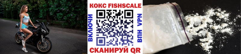 ОМГ ОМГ ссылка  Новоржев  COCAIN FishScale  купить наркотики сайты 