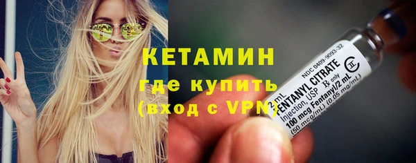 ГАЛЛЮЦИНОГЕННЫЕ ГРИБЫ Дмитриев