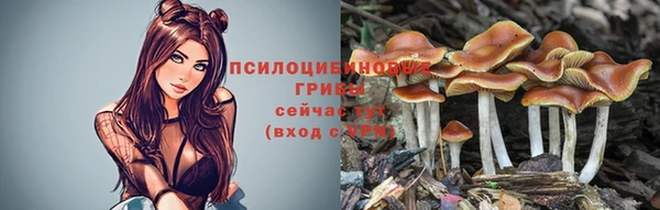 ГАЛЛЮЦИНОГЕННЫЕ ГРИБЫ Дмитриев