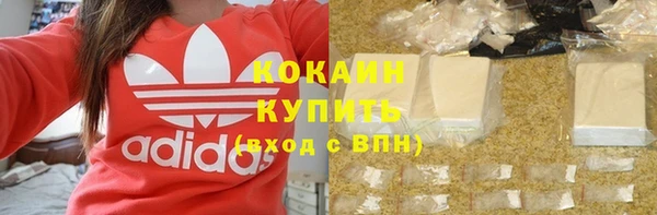 ГАЛЛЮЦИНОГЕННЫЕ ГРИБЫ Дмитриев