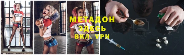 ГАЛЛЮЦИНОГЕННЫЕ ГРИБЫ Дмитриев