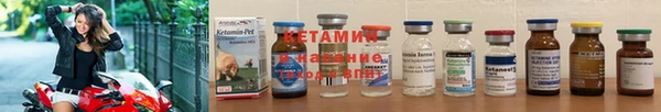 ГАЛЛЮЦИНОГЕННЫЕ ГРИБЫ Дмитриев
