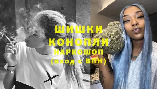 ГАЛЛЮЦИНОГЕННЫЕ ГРИБЫ Дмитриев