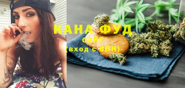 ГАЛЛЮЦИНОГЕННЫЕ ГРИБЫ Дмитриев
