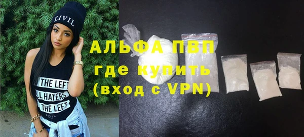 ГАЛЛЮЦИНОГЕННЫЕ ГРИБЫ Дмитриев