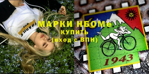 ГАЛЛЮЦИНОГЕННЫЕ ГРИБЫ Дмитриев