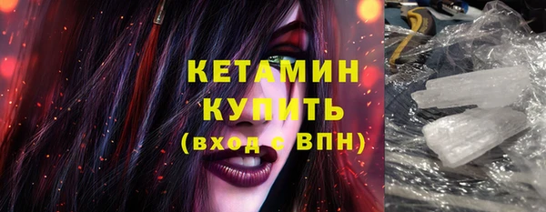 ГАЛЛЮЦИНОГЕННЫЕ ГРИБЫ Дмитриев