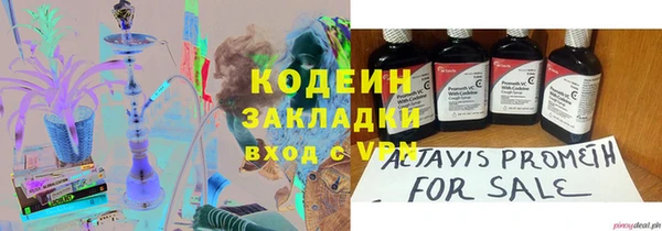 ГАЛЛЮЦИНОГЕННЫЕ ГРИБЫ Дмитриев