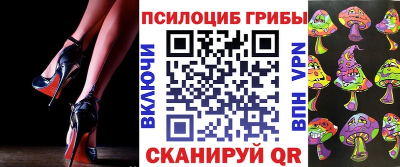 Псилоцибиновые грибы мицелий  blacksprut ссылки  Новоржев 